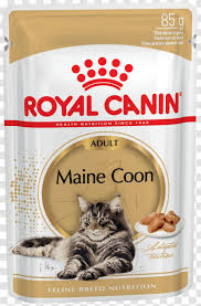 royal canin maine dry cat food dog