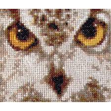 When i do these projects with the girls, i encourage them fill in the white backgrounds with white cross stitch instead of leaving it unstitched. Bright Eyes Orcraphics Cross Stitch