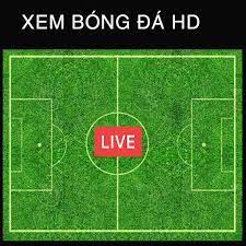 Hỗ trợ dự đoán, cá cược bóng đá. Android Icin Xem Bong Ä'a Trá»±c Tiáº¿p Truc Tiep Bong Da Apk Yi Indir