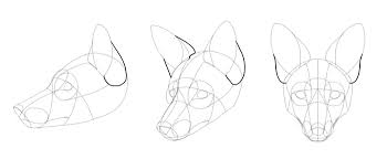 Sketchbook Original How To Draw Foxes Monika Zagrobelna In folklore, foxes are typically characterized as cunning creatures sometimes having magical powers. sketchbook original how to draw foxes