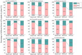 Image result for Leptocarydion vulpiastrum