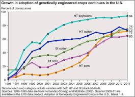 genetically modified foods should we or shouldnt we the