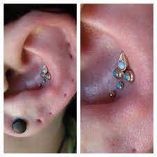 Pin On Hol E Y Earlobes Nostrils Navels Lips Et Cetera Batman