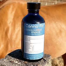 Pets give our hearts the zoomies. Canna Pet Advanced Maxcbd Liquid Review Daily Cbd English