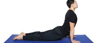 Image result for cobra pose