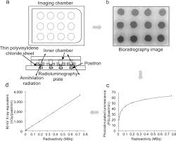 Check spelling or type a new query. Evaluation Of Cell Viability And Metabolic Activity Of A 3d Cultured Human Epidermal Model Using A Dynamic Autoradiographic Technique With A Pet Radiopharmaceutical Scientific Reports
