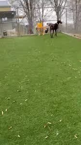 Daisy, Winston, and...