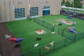 Последние твиты от paws pet resort & spa (@pawspetresort). Bark A Bout Pet Activity Center Resort Pet Boarding Daycare Magazine
