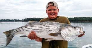 A big fish guide service, we are one of the best wisconsin fishing guides and wisconsin fishing charters in the midwest. Big Ol Fish Guiding Service Tennessee River Valley