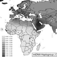 Our y chromosome is inherited from father to son. Haplogroup J Mtdna Wikipedia