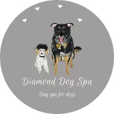 Explore paradise with astonishing scenery, breathtaking beaches, and unique experiences. Diamond Dog Spa Home Facebook