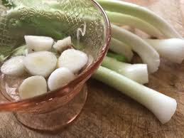 Your onions will not only stay fresh but will also continue to grow. How To Keep Green Onions Fresh For Weeks Under The Median