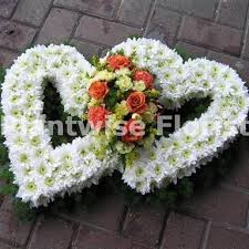 We did not find results for: Based Double Open Heart With Foliage Edge For A Funeral Plantwise