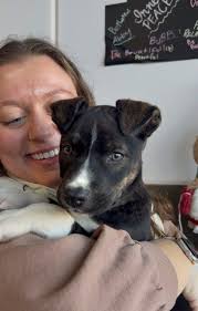 Thanks to the McKinney family, Wink will have the most perfect Christmas  this year and her rescue story is now complete ❤️🐾🥰 #weloveadoptions