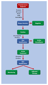 When malignant cancer cells form and grow within a person's breast tissue, breast cancer occurs. Cells Free Full Text Incorporating Prognostic Biomarkers Into Risk Assessment Models And Tnm Staging For Prostate Cancer Html