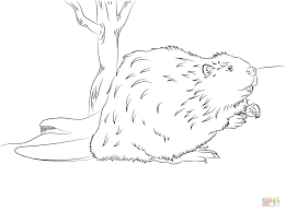 To print this beaver coloring page click on the printer picture. Beaver 1633 Animals Printable Coloring Pages