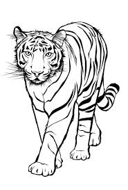 Tiger3 Marchen Aus Aller Welt Der Bruder Grimm Von Andersen Ausmalen Ausmalbilder Tier Schablone