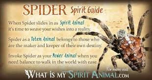 Spider Symbolism Meaning Spirit Totem Power Animal Spirit Animal Totem Power Animal Animal Totem Spirit Guides