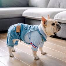 720 x 715 jpeg 74 кб. Hand Selected French Bulldog Clothes From All Over The World