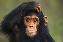 Anup Shah and Fiona Rogers