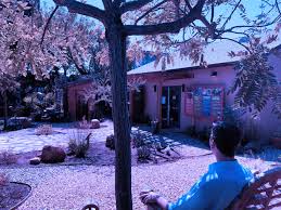 Projects Infinite Sky Landscape Design