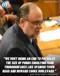 A 10-year national road maintenance and rehabilitation plan is among a  series of reforms that Opposition Leader Mark Golding says will be pursued  by a future PNP administration to keep roads in