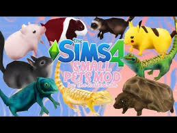 · save the downloaded file into the mods folder of the sims 4. Top 10 Sims 4 Best Pet Mods That Are Fun Gamers Decide