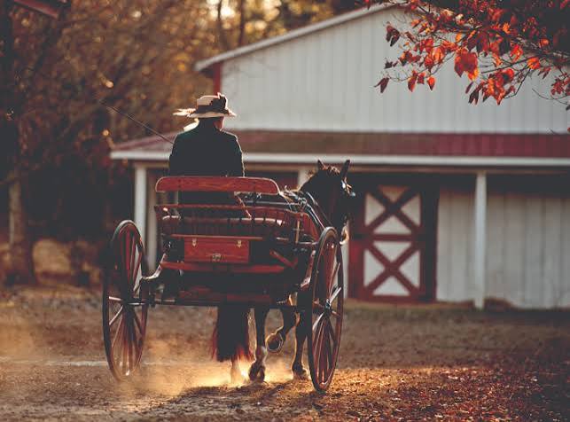 The Road Cart - Carriage Machine Shop