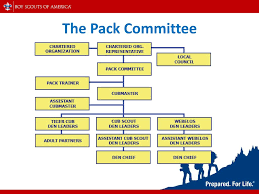 69 Expert Cub Scout Pack Organizational Chart