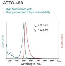 Alpine green pri metallic clearcoat. Protein Cytoskeleton Research Tools Goat Anti Mouse Igg Fab
