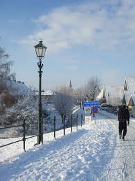 En natuurlijk, fietsen in de sneeuw. Schermerhorn 2010 Natuurfoto S Nederland Winter Sneeuw