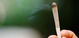 Fumer des joints, boire du bouillon de poisson.bref, faire ce qui te plaît. Saint Lo Il Reconnait Consommer 20 A 30 Joints Par Jour