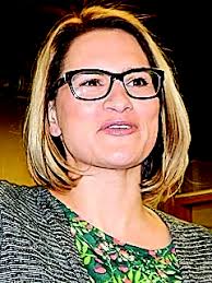 Candidates make pitches at County DFL Convention