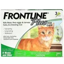 Is Frontline Plus Safe For Cats Quora