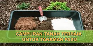 Meskipun begitu, pangsa pasar untuk tanah tetap menjanjikan, karenanya, cara cepat jual tanah masih bisa diterapkan. Cara Buat Sendiri Campuran Tanah Pasu Ekstra Tips Daripada Pakar Kebun Bandar