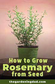 Pin On Thegardeningdad Com Blog