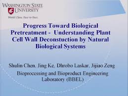 Plant cell vs fungal cell. Progress Toward Biological Pretreatment Understanding Plant Cell Wall Degradation By Termite And White Rot Fungi Aiche