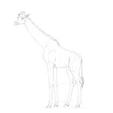 Apprendre dessiner une girafe apk скачать. Comment Dessiner Une Girafe Et Un Motif De Girafe Design Et Illustration Developpement De Sites Web Jeux Informatiques Et Applications Mobiles
