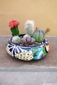We did not find results for: How To Create A Cactus Dish Garden Keep Your Finger Spine Free 9 Steps With Pictures Instructables