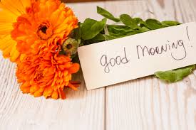 Good morning images wallpaper photo pictures pics free download with flower for wife free latest hd relation between husband and wife is very beautiful and very naughty. 100 Good Morning Flowers Images Picture Wallpapers Az Quotes