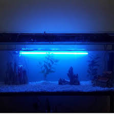 Fish Tank With Stand For Sale Pets Show Ad Kuwait Upto Date Kuwait Upto Date