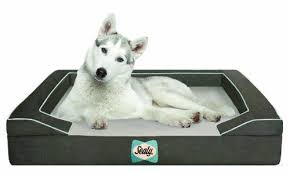 Pin On Dogs Beds