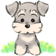 Playfull Miniature Schnauzer Pup Grooming Miniatureschnauzerofig Miniatureschnauzersofinstagramday Miniatureschnauzerfunn Cute Drawings Dog Drawing Drawings