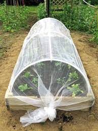 These planters may look like a tall this vertical garden—built by affixing hex wire netting to a cedar frame—can accommodate up to 35 here, a pallet functions as the basic frame for a garden; Diy Project Make A Garden Cloche To Protect Your Plants Thisnzlife