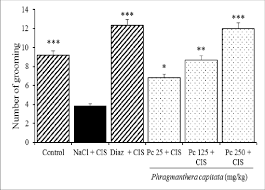 Image result for Phragmanthera capitata