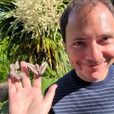 James Bashford (@wrenandbee)