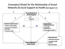 Health Behavior And Health Education Part Three Chapter Nine Key Constructs Conceptual Model Conceptual Systems Theory Health Education