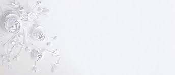 White Background Photos And Wallpaper For Free Download Paper Background Design Watercolor Flower Background Paper Background