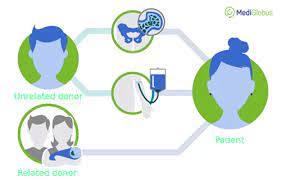 Its job is to produce blood cells. Price Of Bone Marrow Transplantation Medicglobus