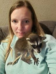 A neighbor found this baby walking across a busy road with the mama  deceased nearby. Hoping to get her over to George Simmons here soon!